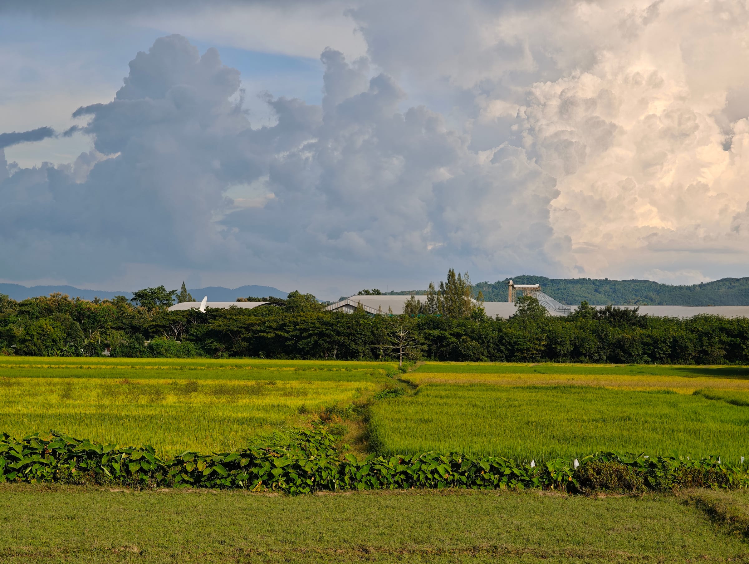 Rural Thailand landscape